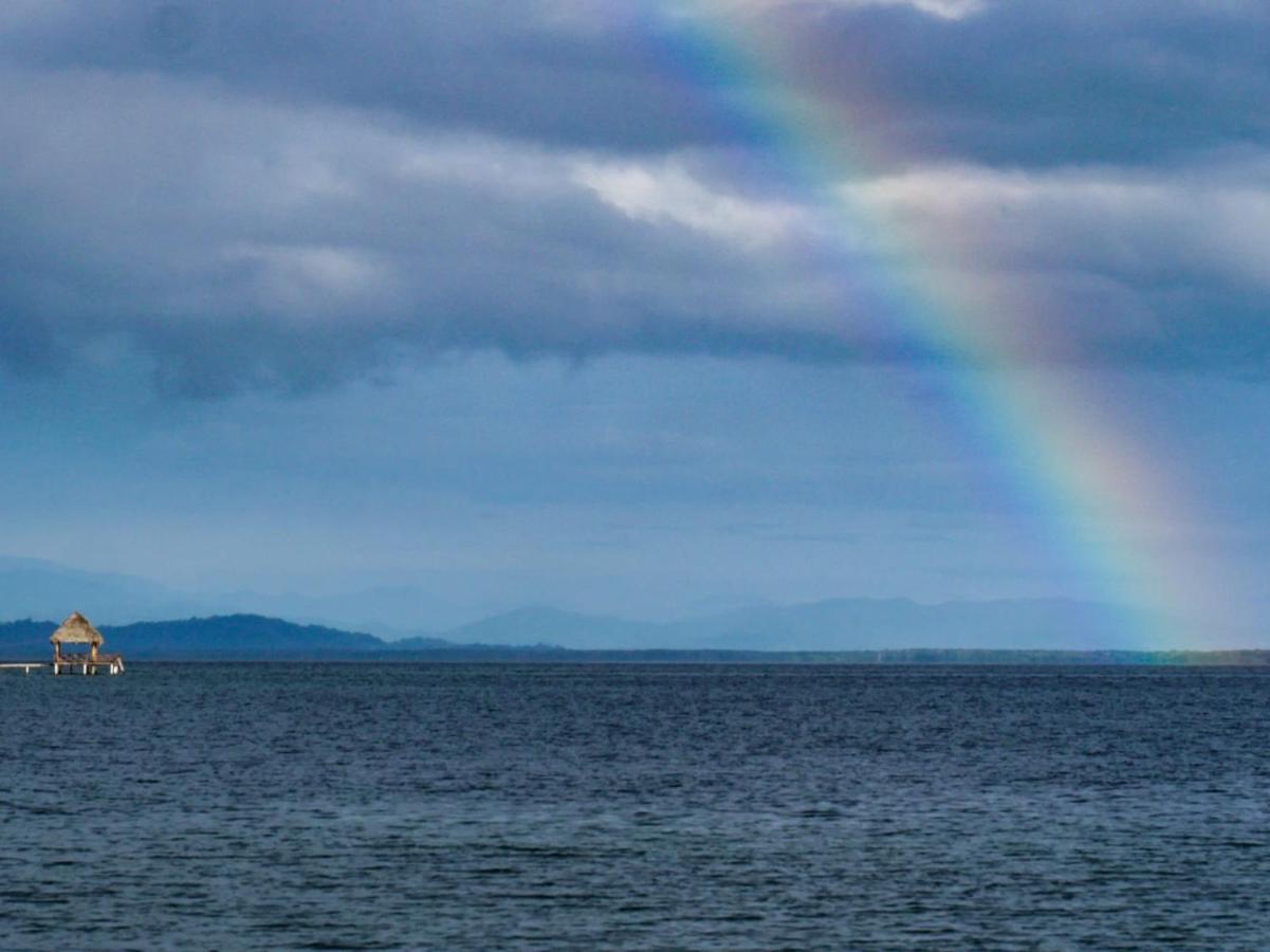 Barrbra Bnb Over The Sea Bocas Town Bagian luar foto