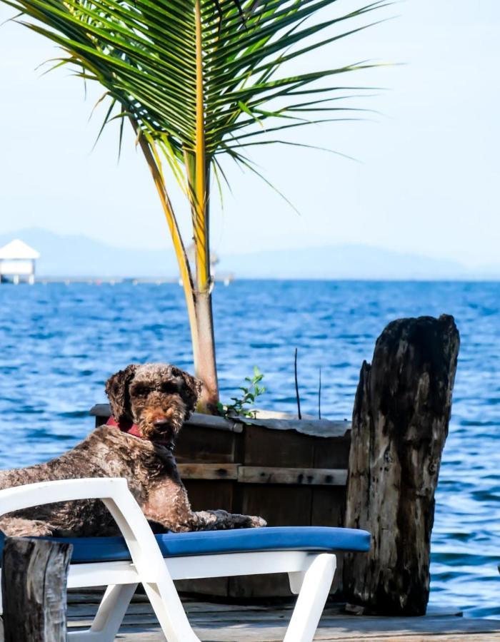 Barrbra Bnb Over The Sea Bocas Town Bagian luar foto