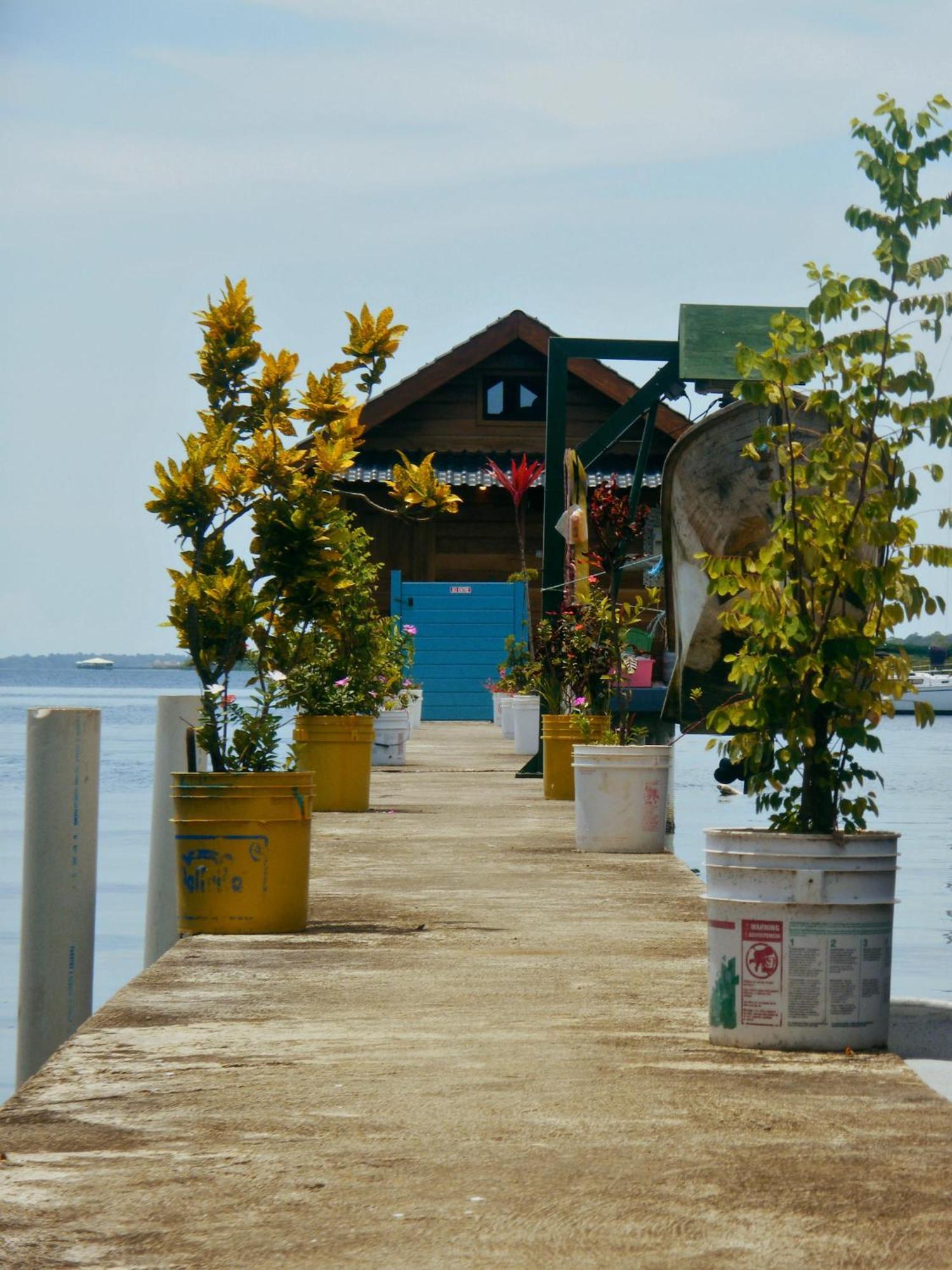 Barrbra Bnb Over The Sea Bocas Town Bagian luar foto