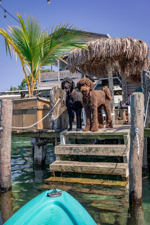 Barrbra Bnb Over The Sea Bocas Town Bagian luar foto